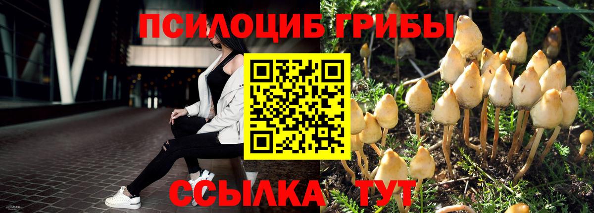 Улан-Удэ  Галлюциногенные грибы Psilocybine cubensis  Вход с VPN 